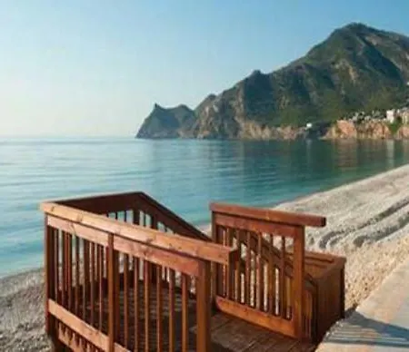 Vip Albir 公寓 *