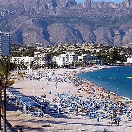 Vip Albir